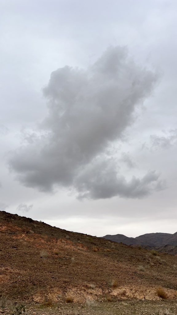 فريق أمطار تبوك tweet media