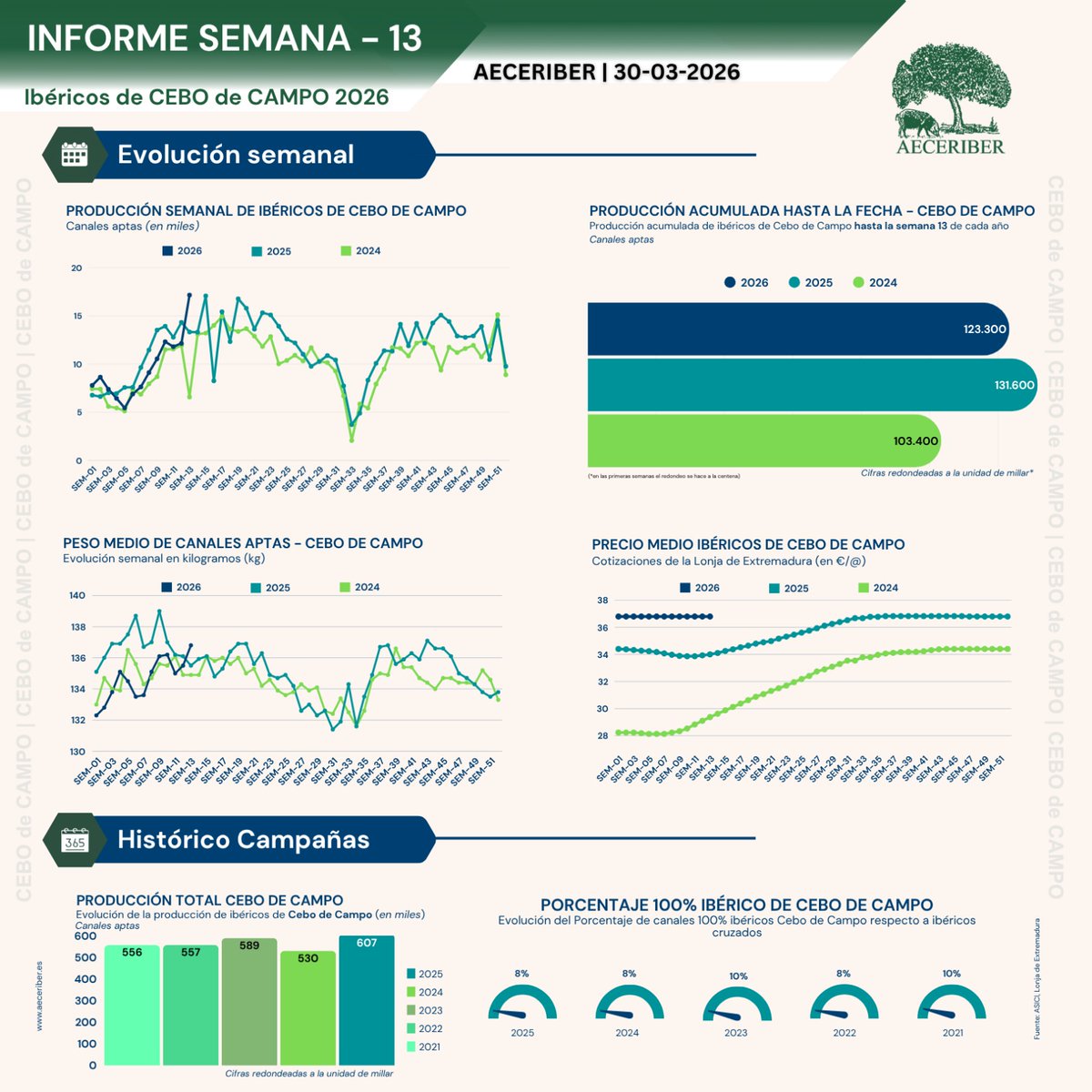 AECERIBER tweet media