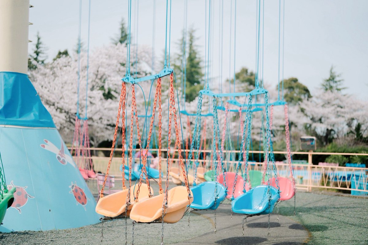 桜の遊園地