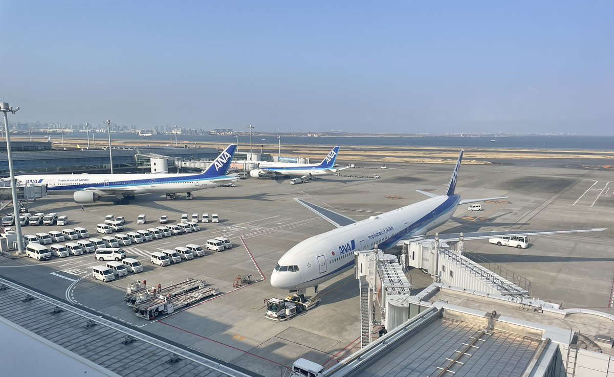 なしこ✈︎ tweet media