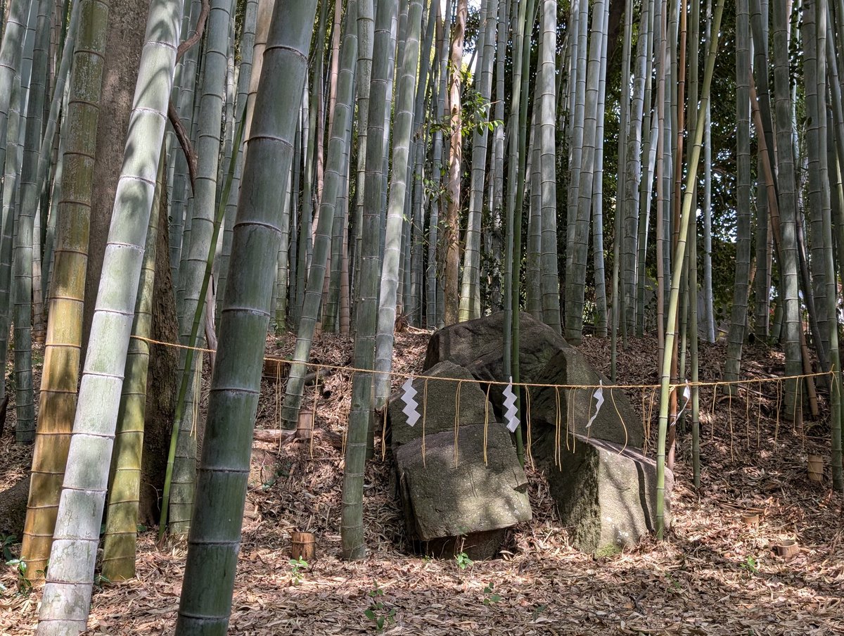 扶余と飛鳥 tweet media