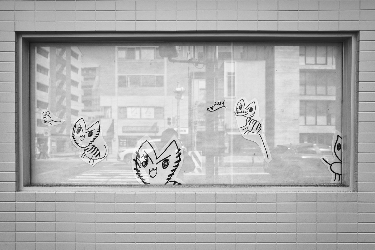 Experienced Record
Ashiya 2026
Street Cats Watching the City
ガラス越しに、今日も街を観察中。
彼らの視線は、案外するどい。
(LEICA Q2 Repoter)
#leica #ライカ #photography