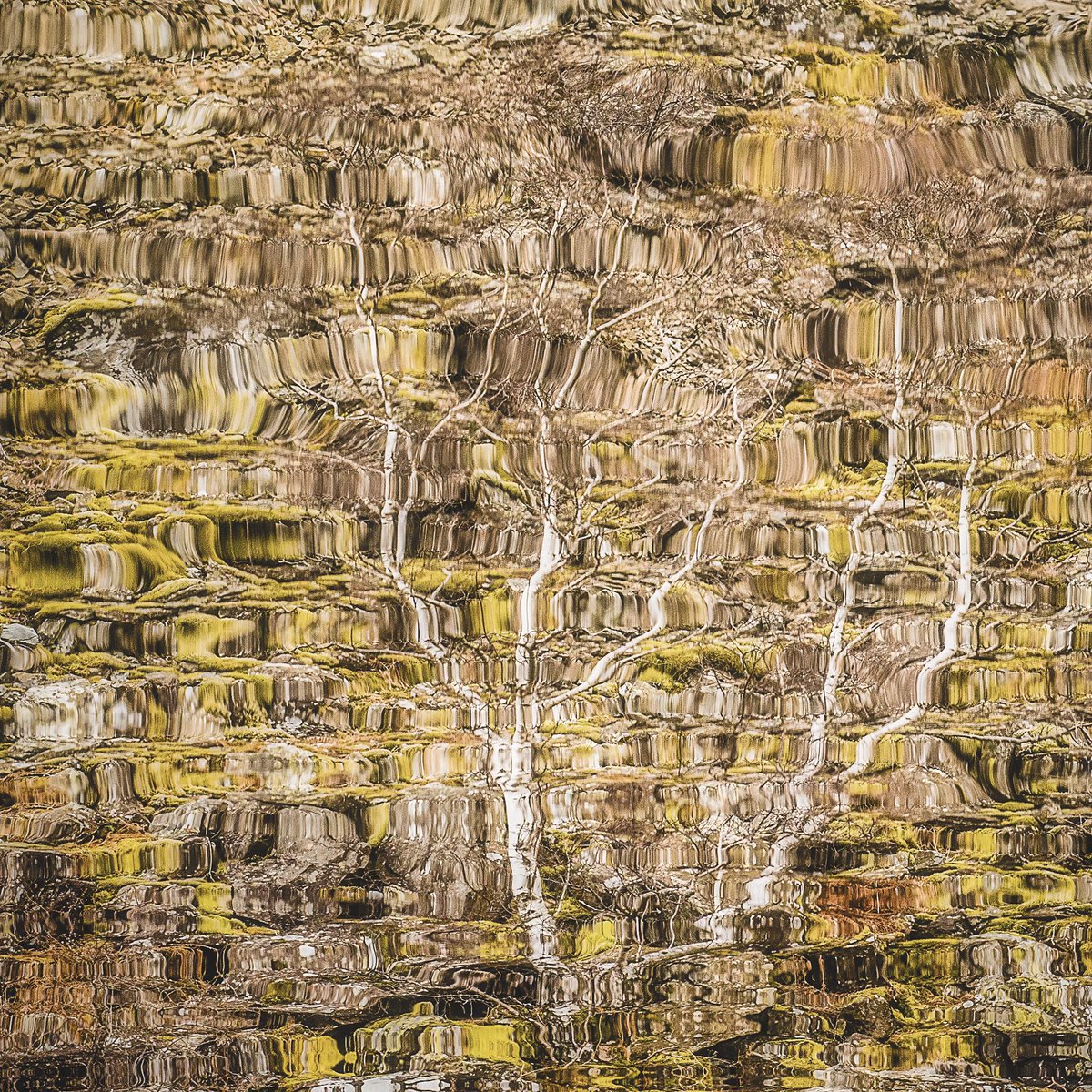 mark littlejohn tweet media