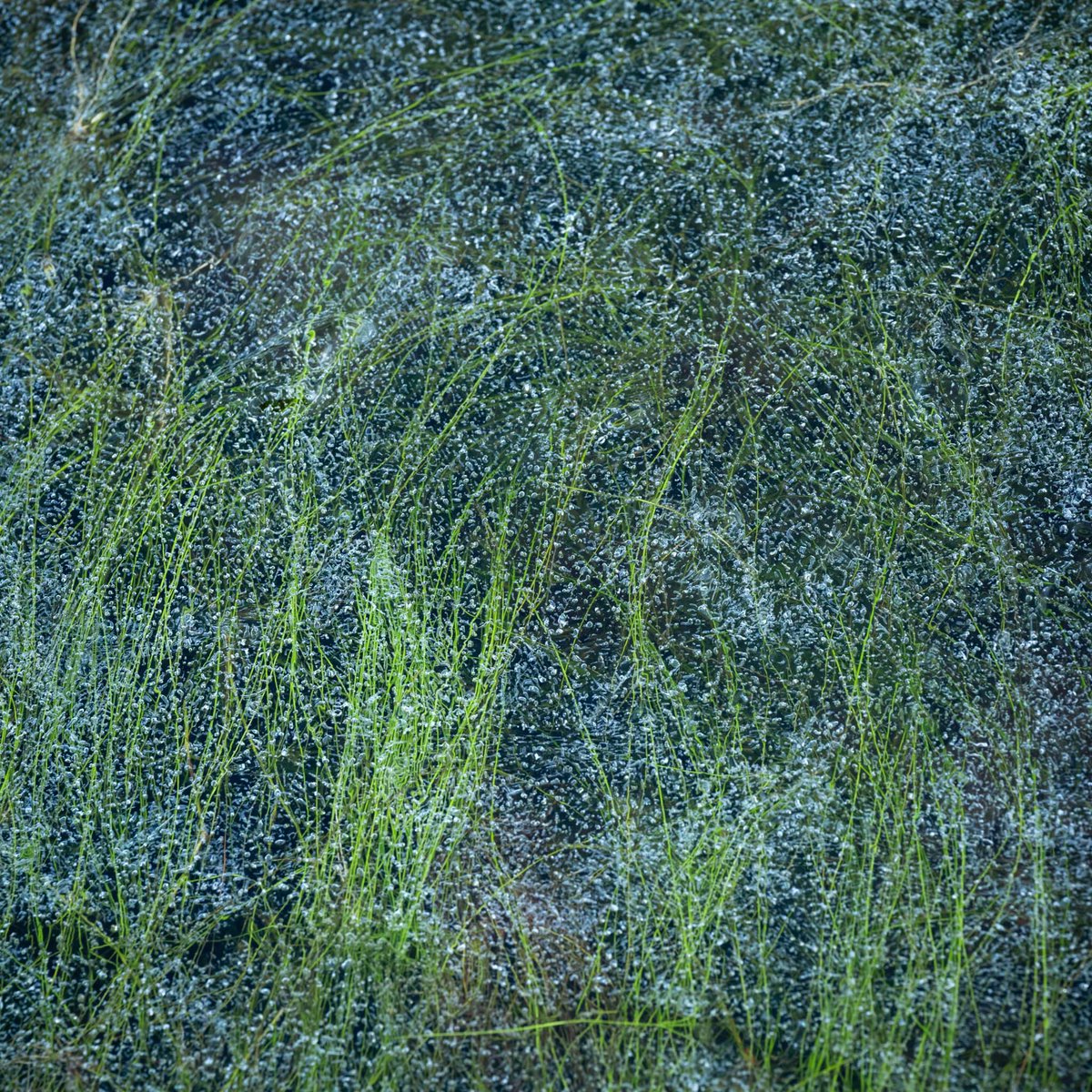 mark littlejohn tweet media