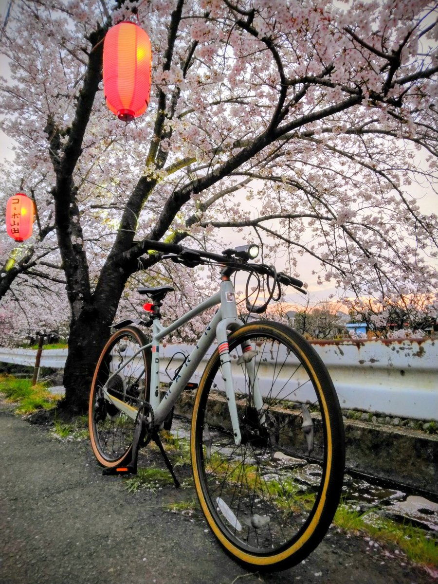 多摩湖のほとりで tweet media