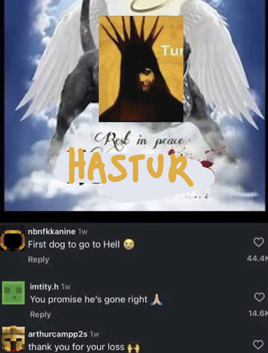 amia🟩⚔️ (jirai ze ceo) tweet media