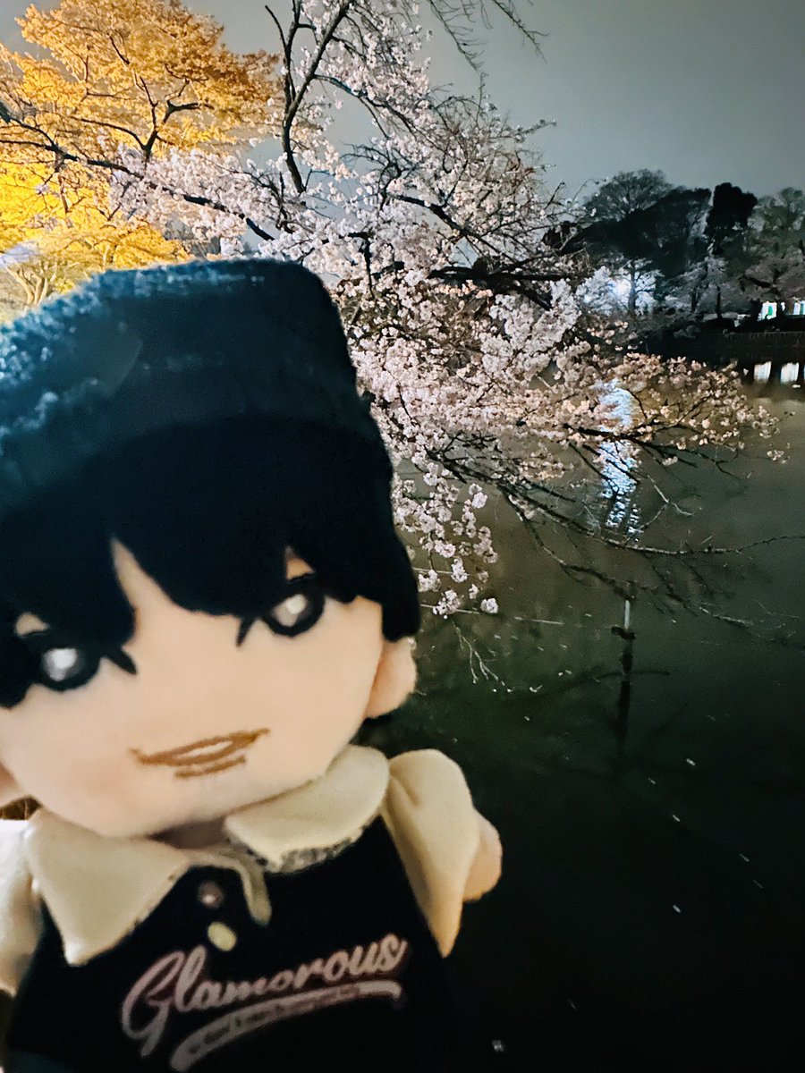 藤吉🌹 tweet media