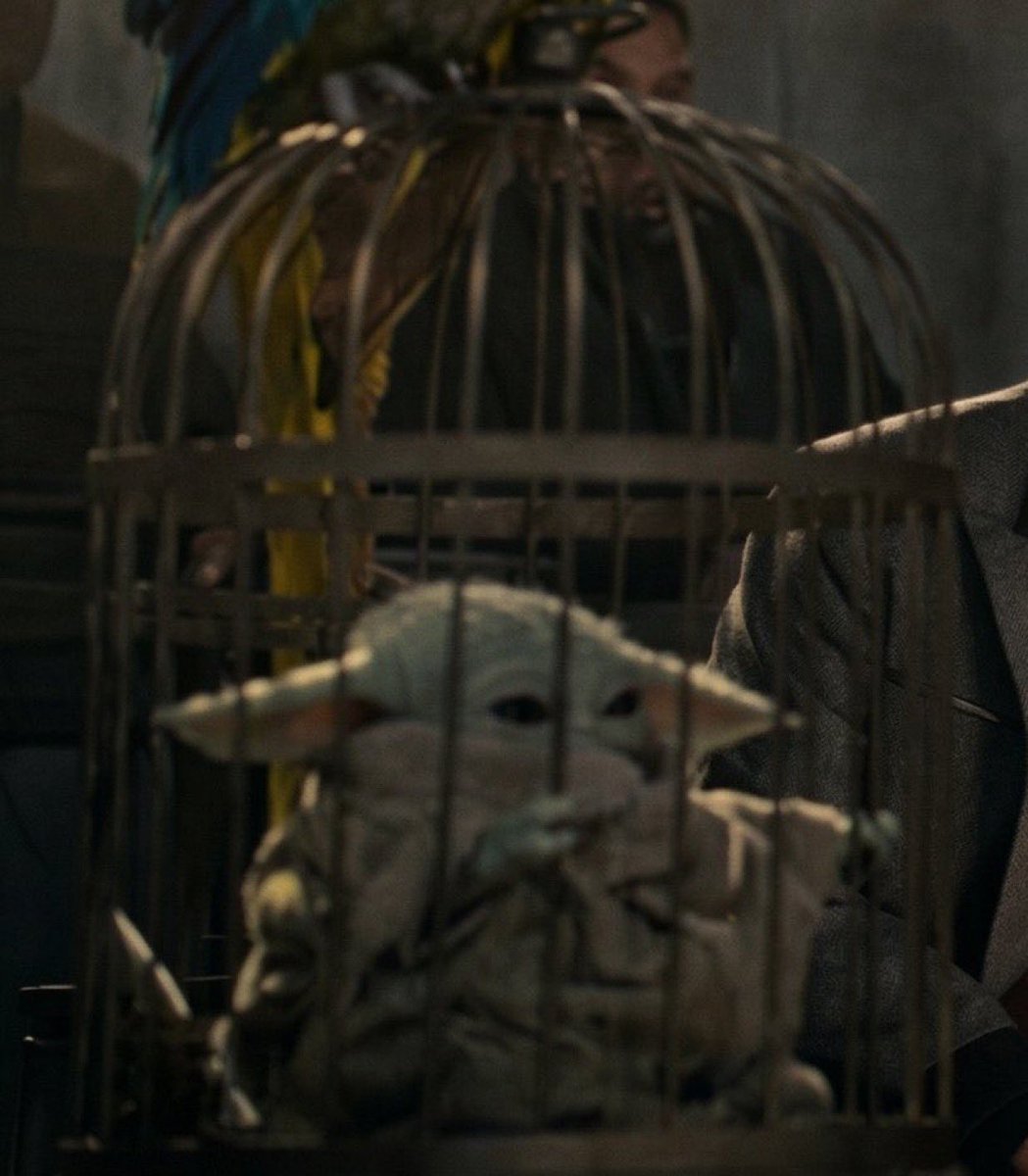 Alan Ching 🌈 #TheStranger tweet media