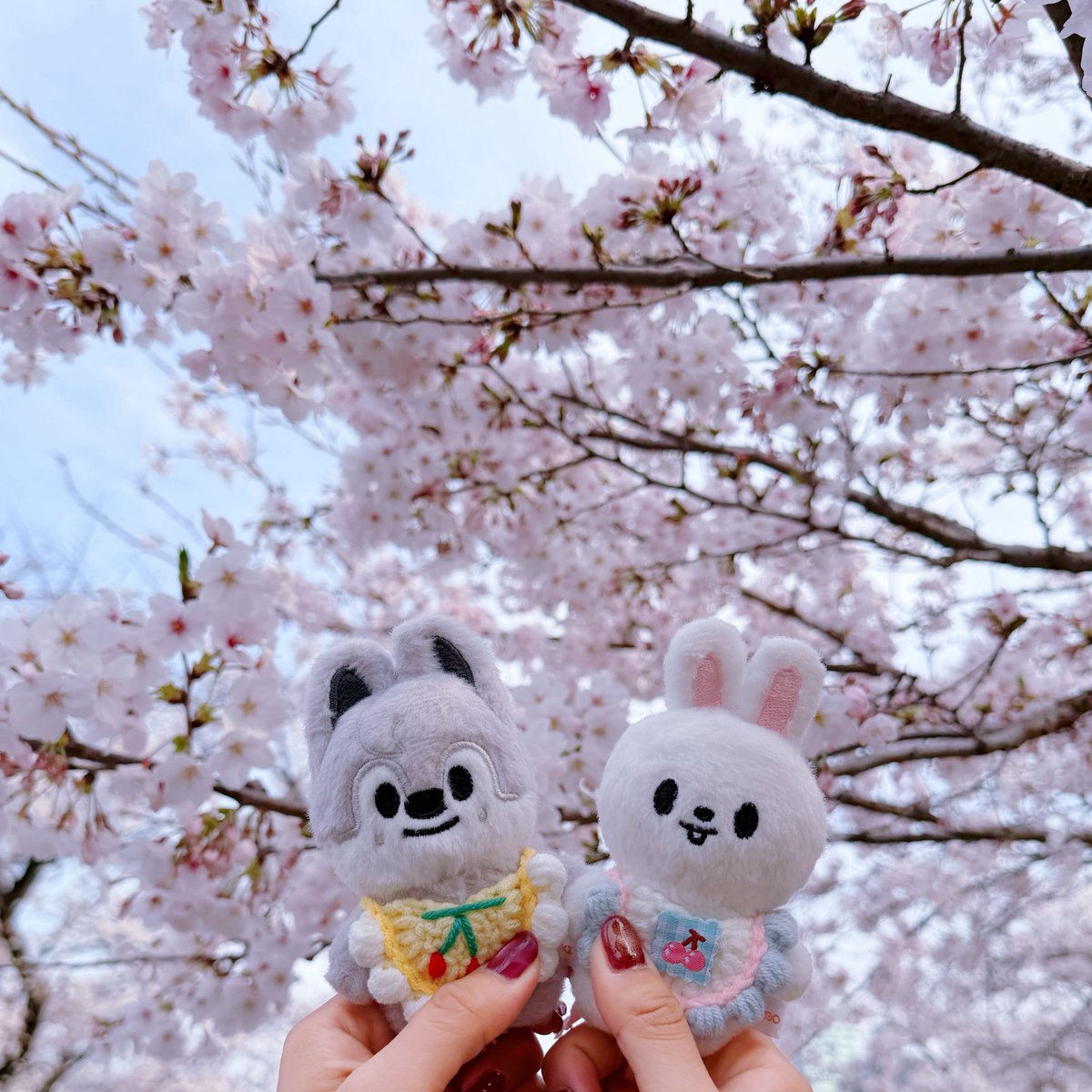 まちゃꪔ̤̥ꪔ̤̮ꪔ̤̫ tweet media