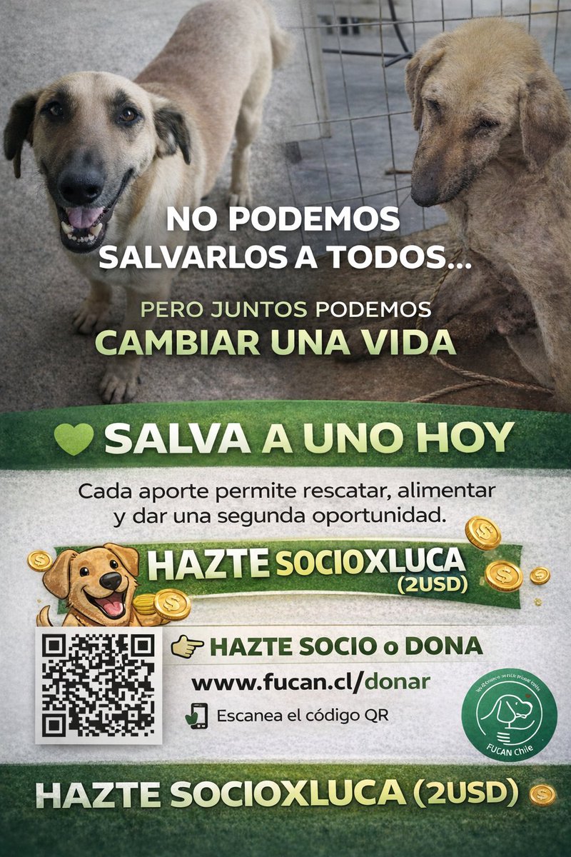 Santuariofucanchile tweet media