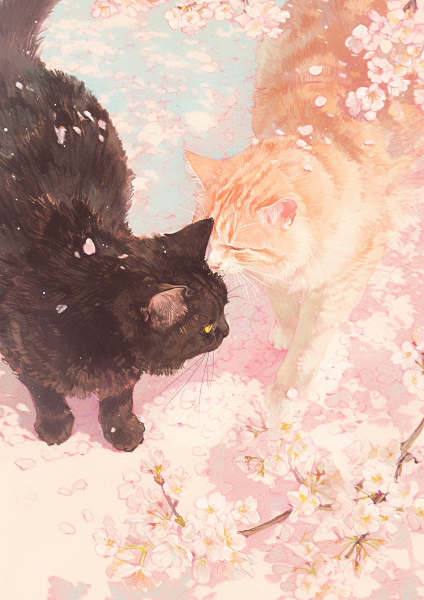 モモ (@momowaaai) on Twitter photo 
