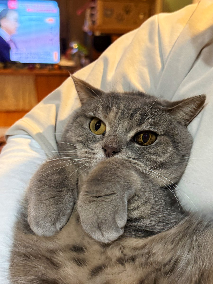 simanto工房 tweet media