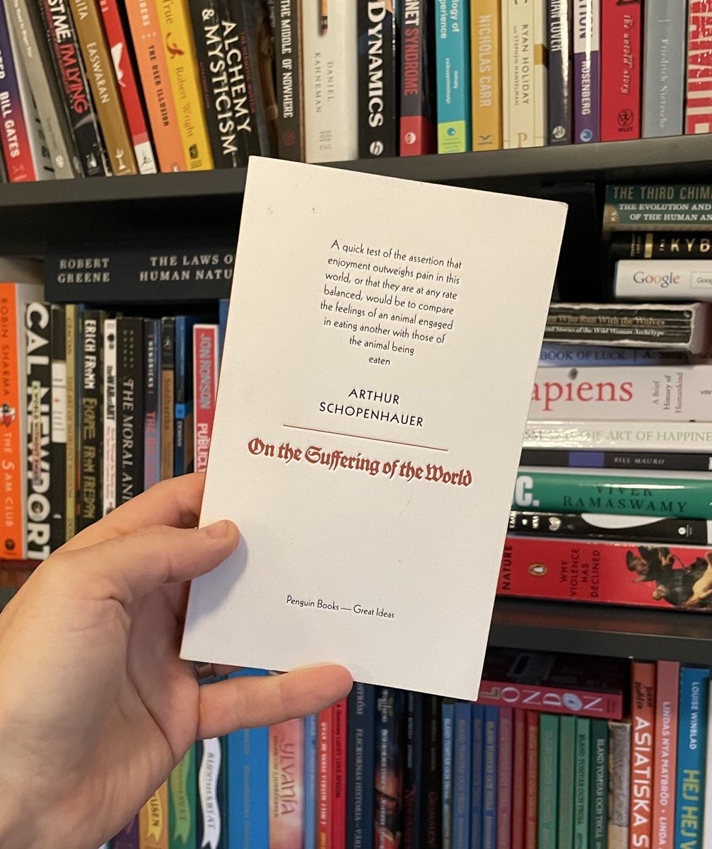 BookLab by Bjorn tweet media