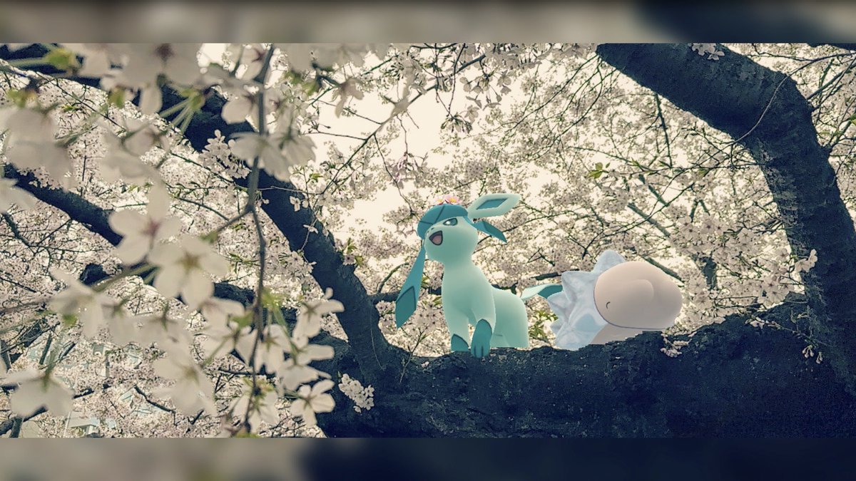 kenkenPokecame's tweet image. 曇り桜☁️🌸

#GOsnapshot #ARofTheDay #ポケモンGO