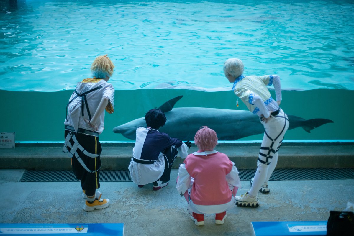 晃ちゃん。 tweet media