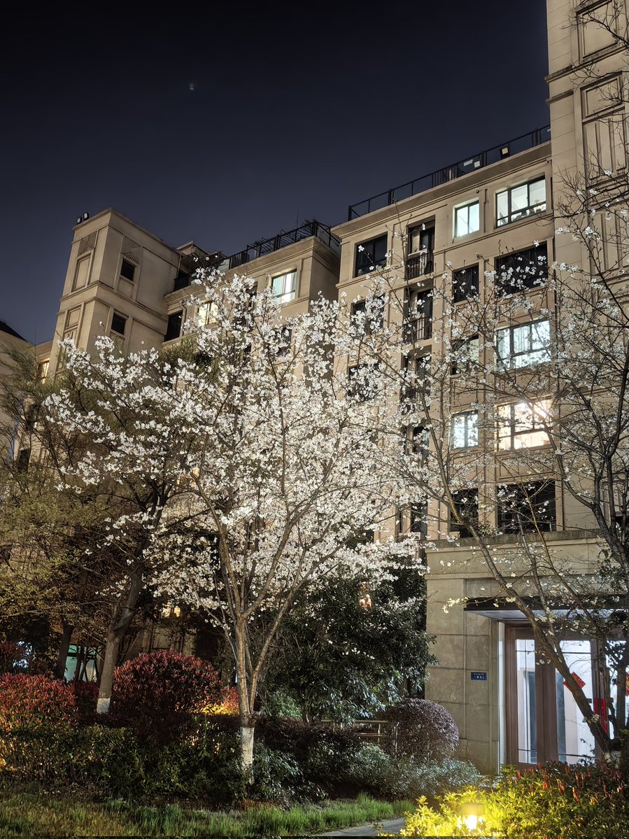 小明同学 tweet media