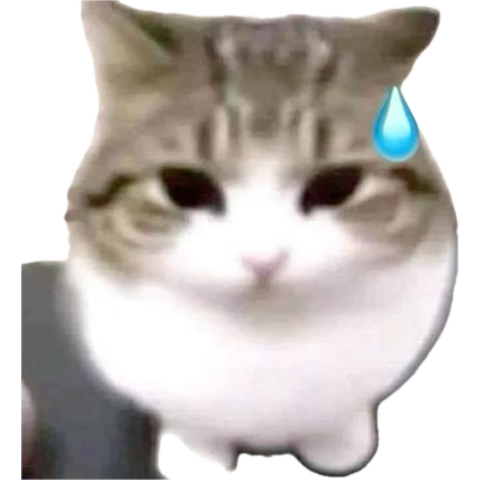 miraga mi? tweet media