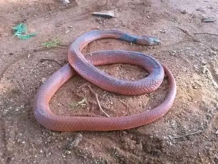 Gidi🍃 tweet media