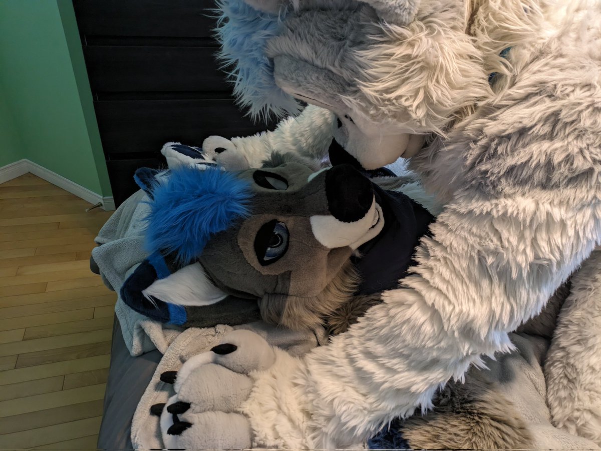 Had to show <a href="/SliverWusky/">Sliver</a> where he belongs 😇

📷 <a href="/MikeTheFox07/">Mike The Fox</a>