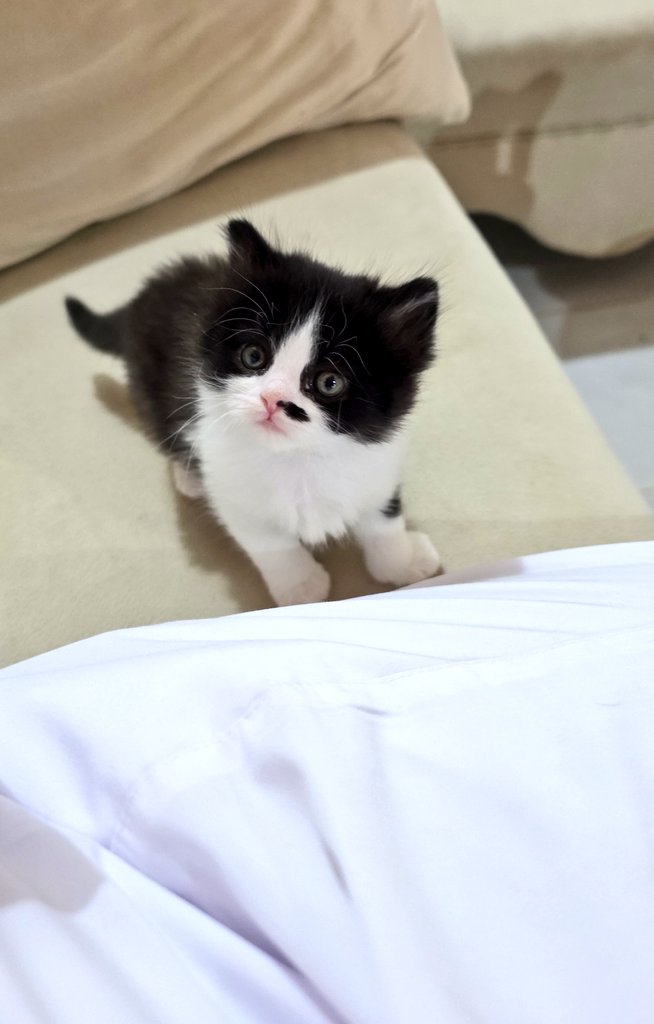 ..YaSsEr tweet media