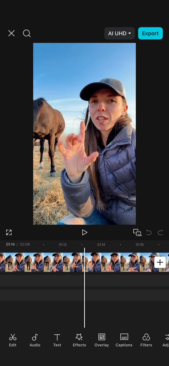 Sam Briese || UGC Creator|| tweet media