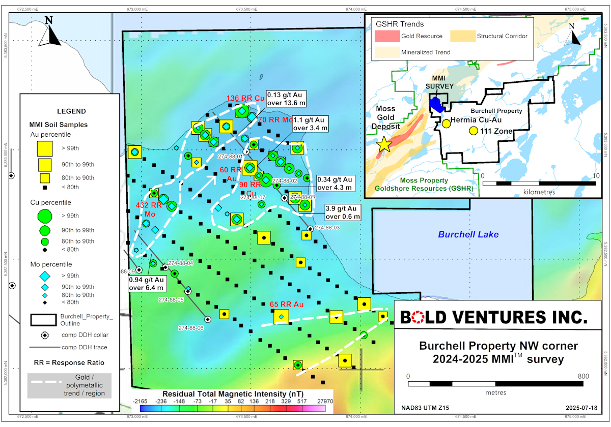 Bold Ventures Inc. tweet media