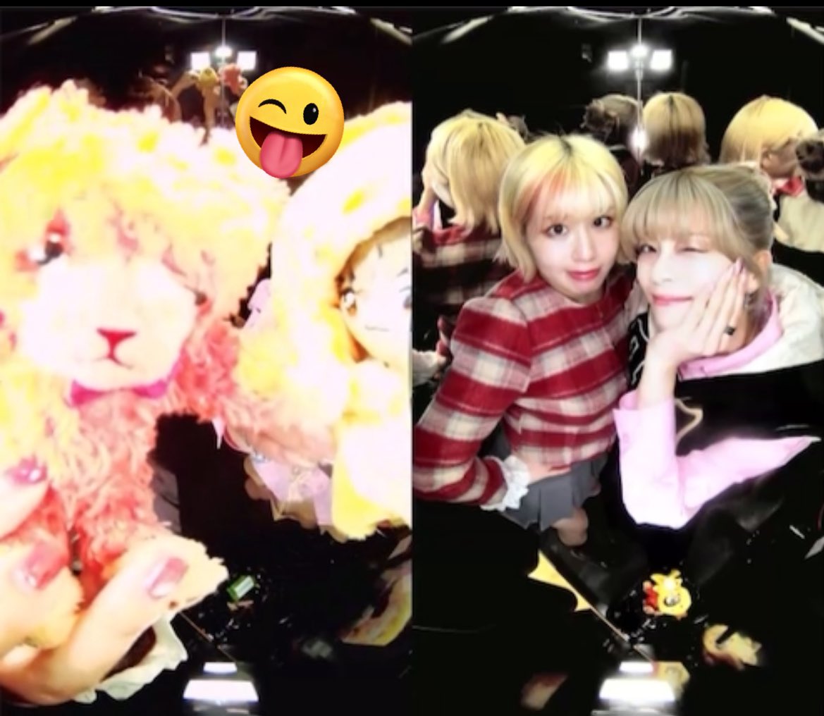 木音純❀ tweet media