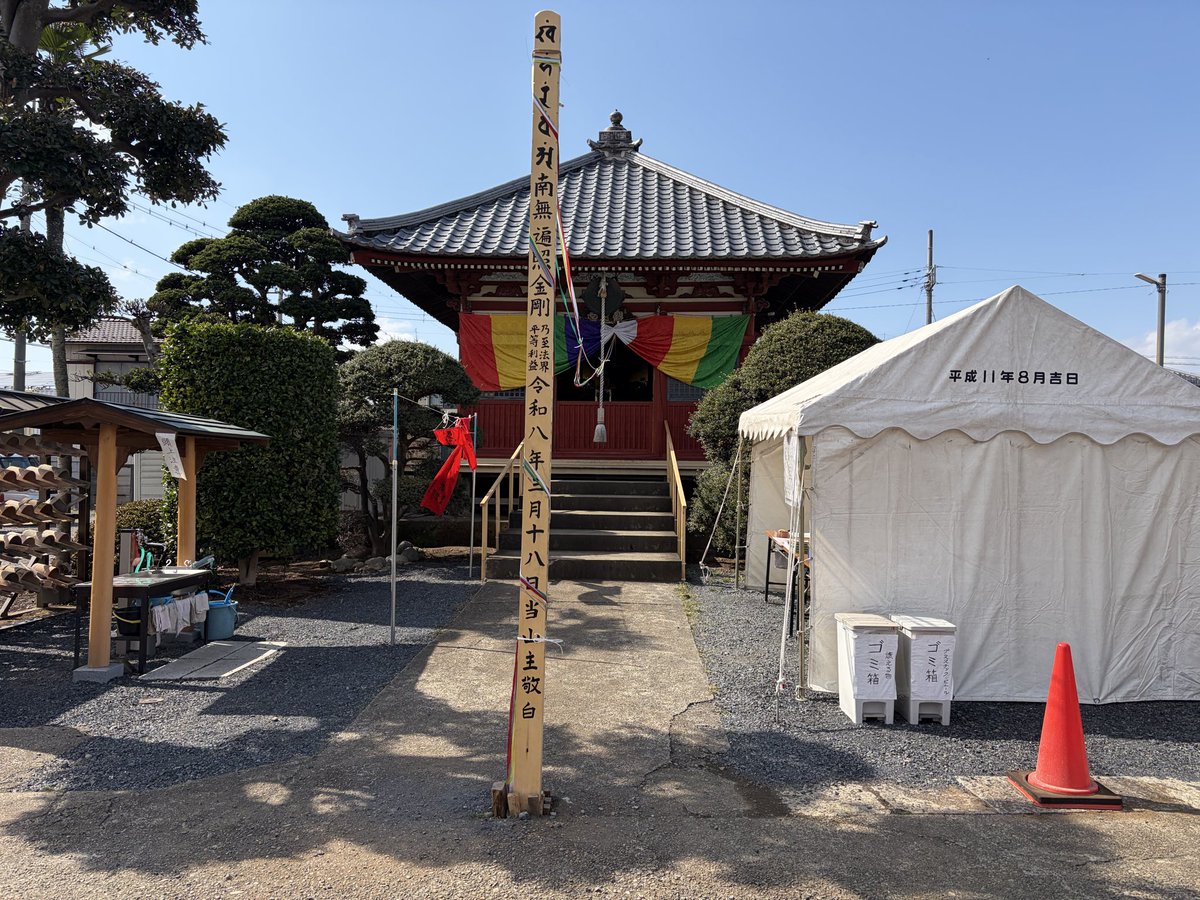 ガンビー（銃蜂） tweet media