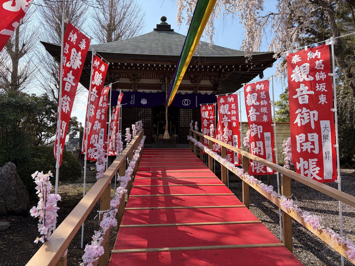 ガンビー（銃蜂） tweet media