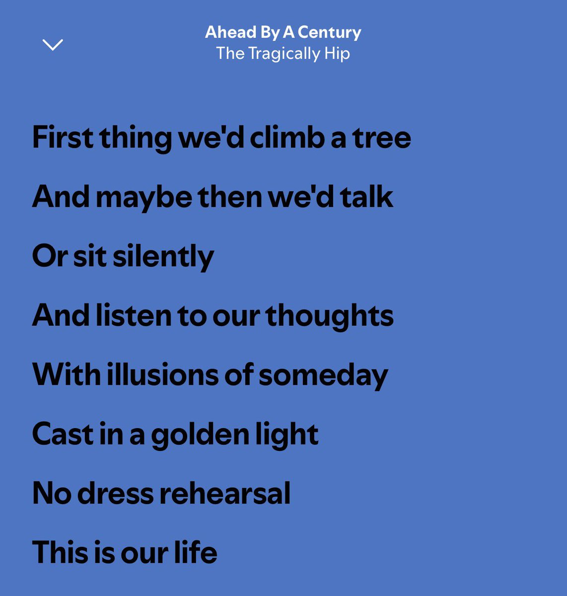 basietta🐞a very specific KIND tweet media