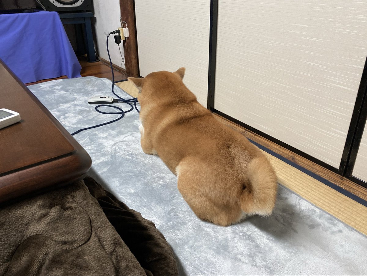 tsurusakiizumi tweet media