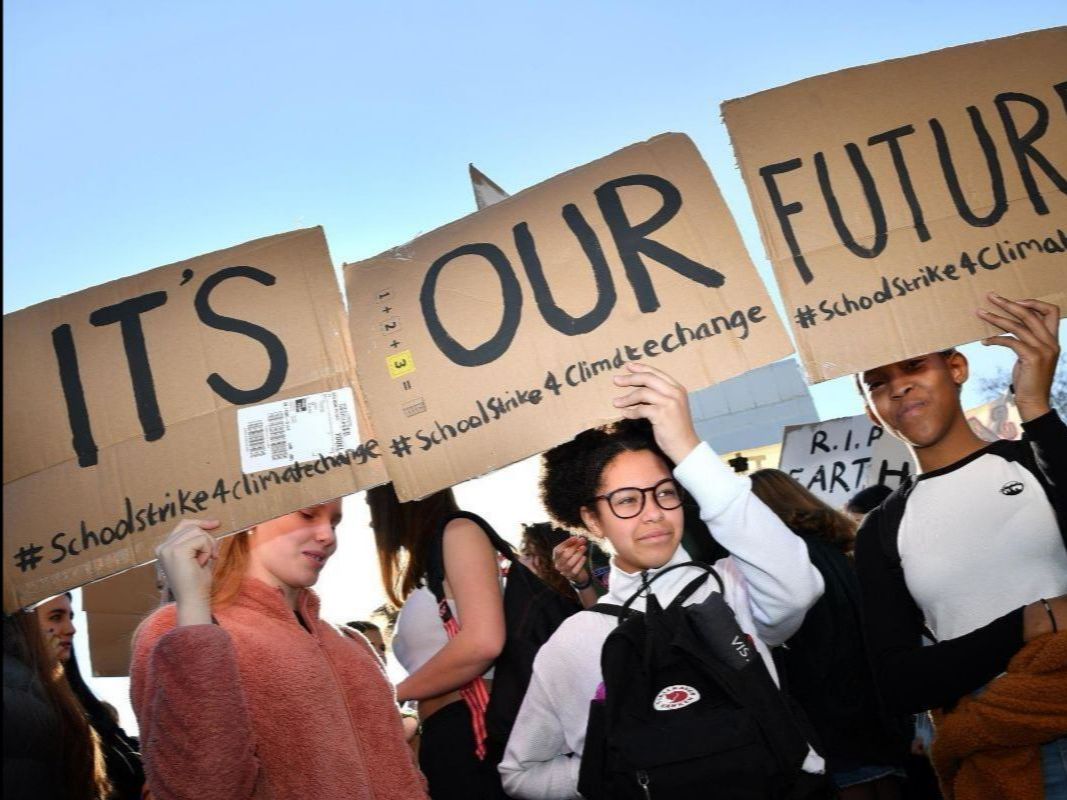 Constitutional Democracy Project tweet media