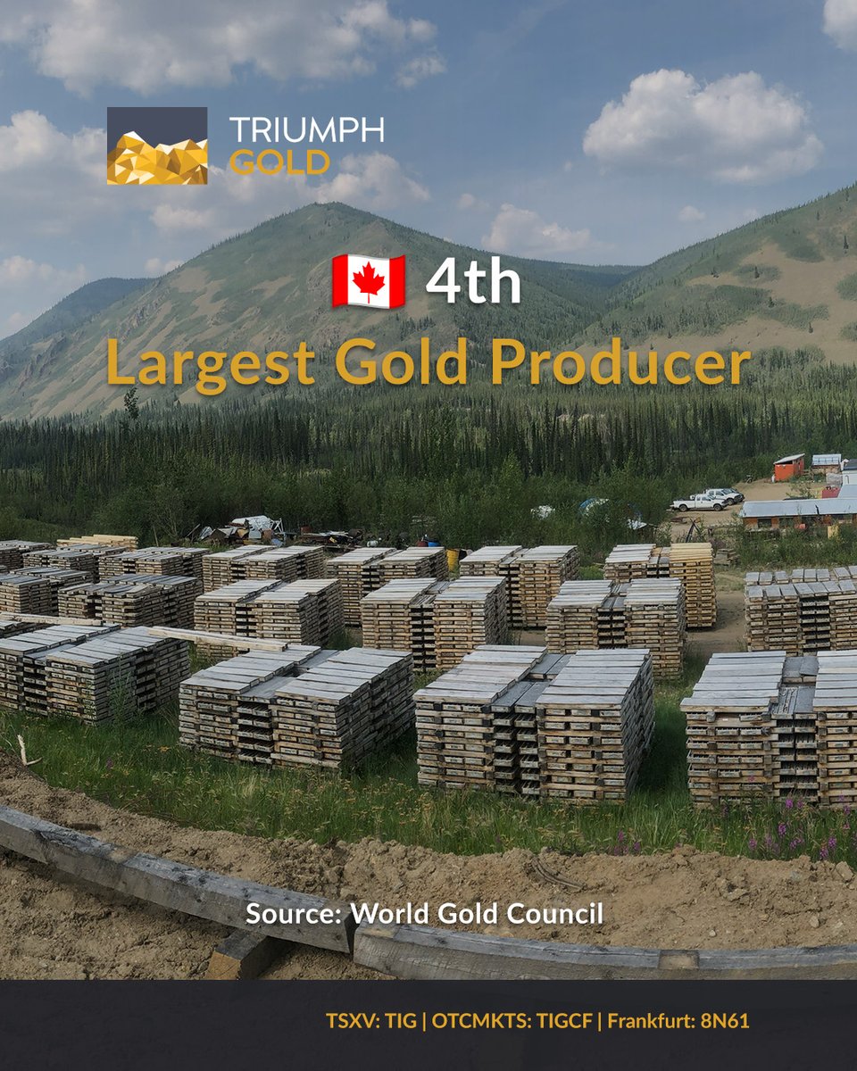 Triumph Gold Corp tweet media