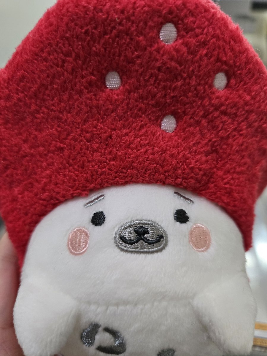 尾椎weiiii tweet media