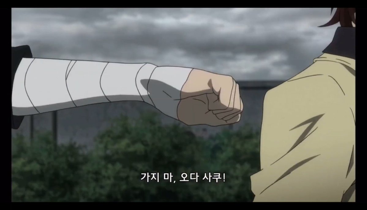 개표독(5수코/토) tweet media