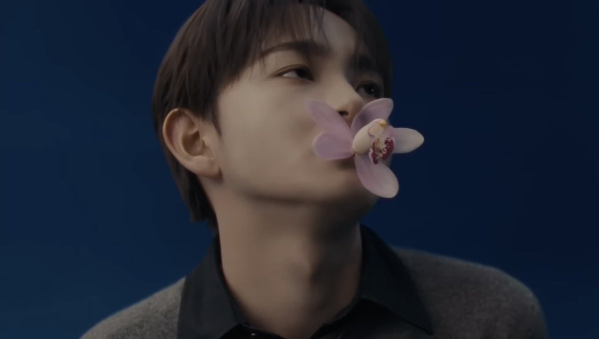 ヌン。 tweet media