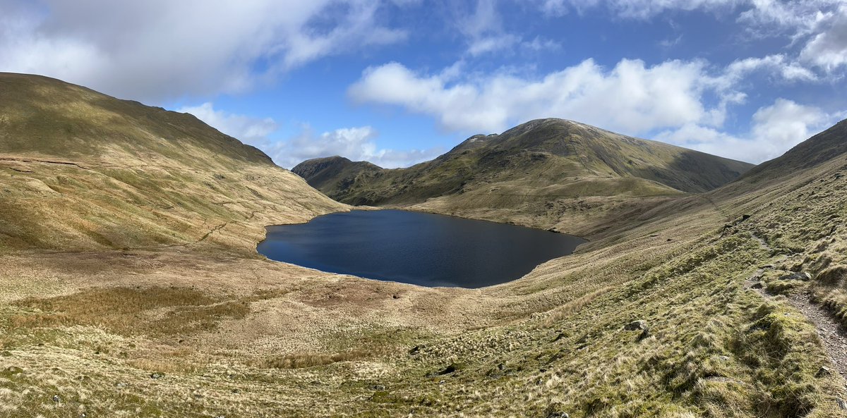 Trevelyan May tweet media