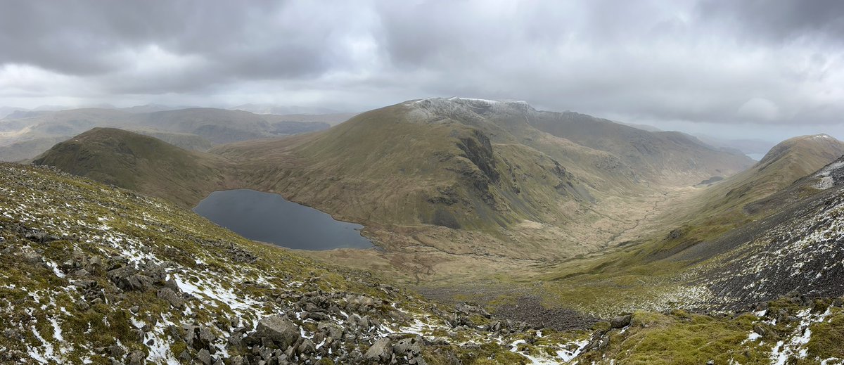 Trevelyan May tweet media