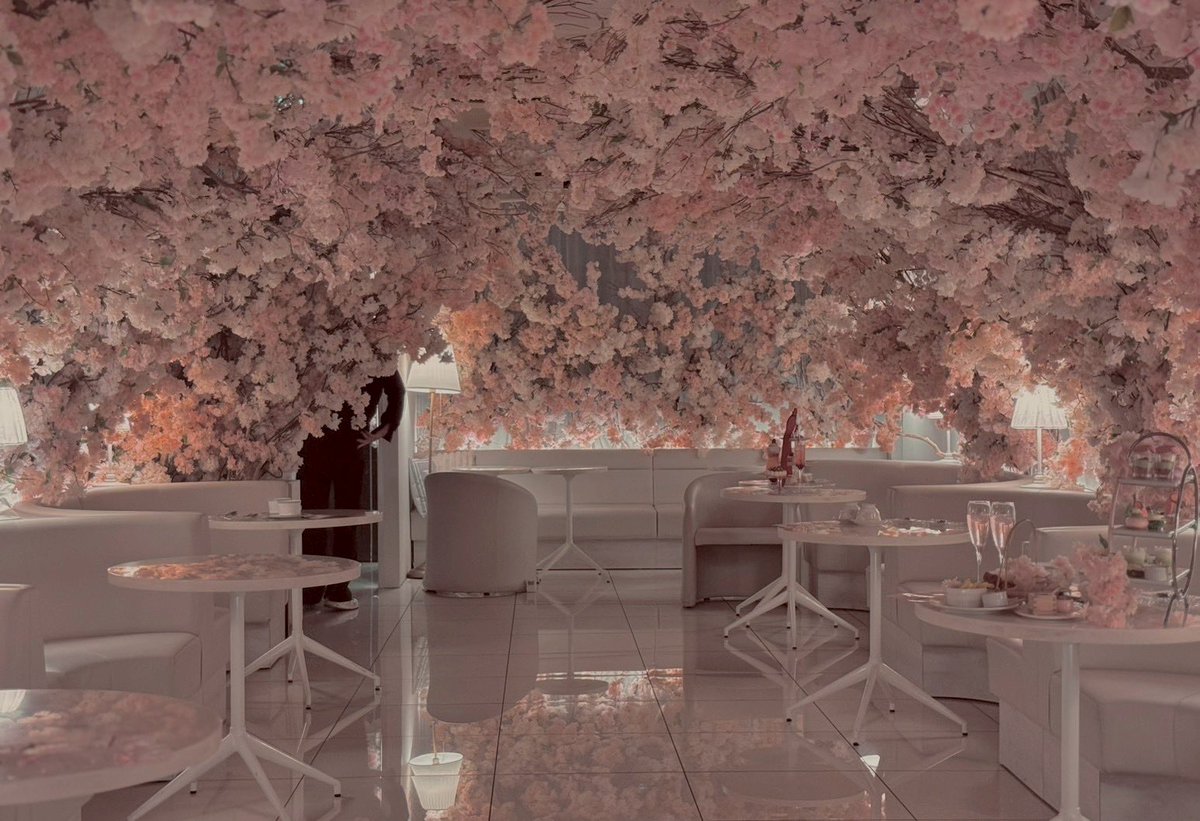 🎀🧸Ginger Garden AOYAMA ジンジャーガーデン tweet media