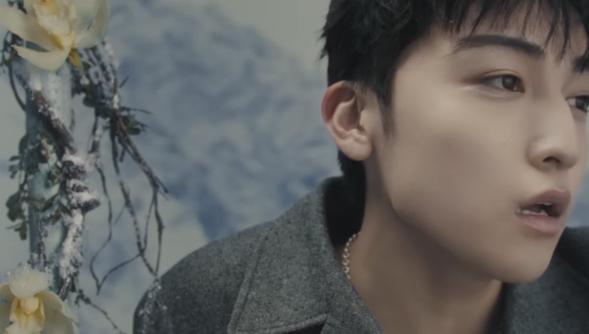 ヌン。 tweet media