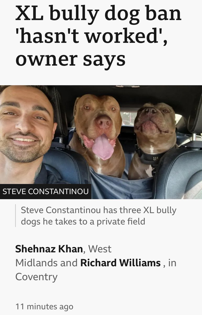 t/a Underscores Rn’t Us tweet media