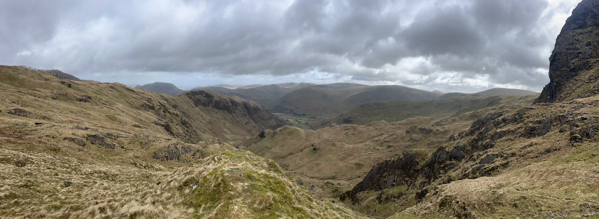 Trevelyan May tweet media