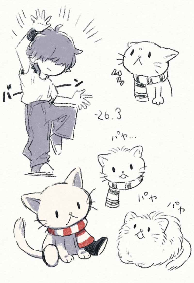パヤ… 