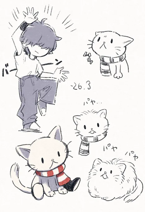 パヤ… 