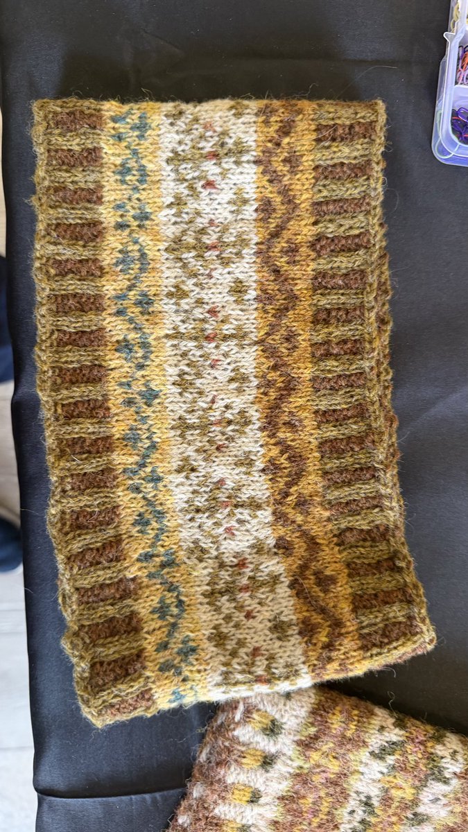 Debby Thorne tweet media