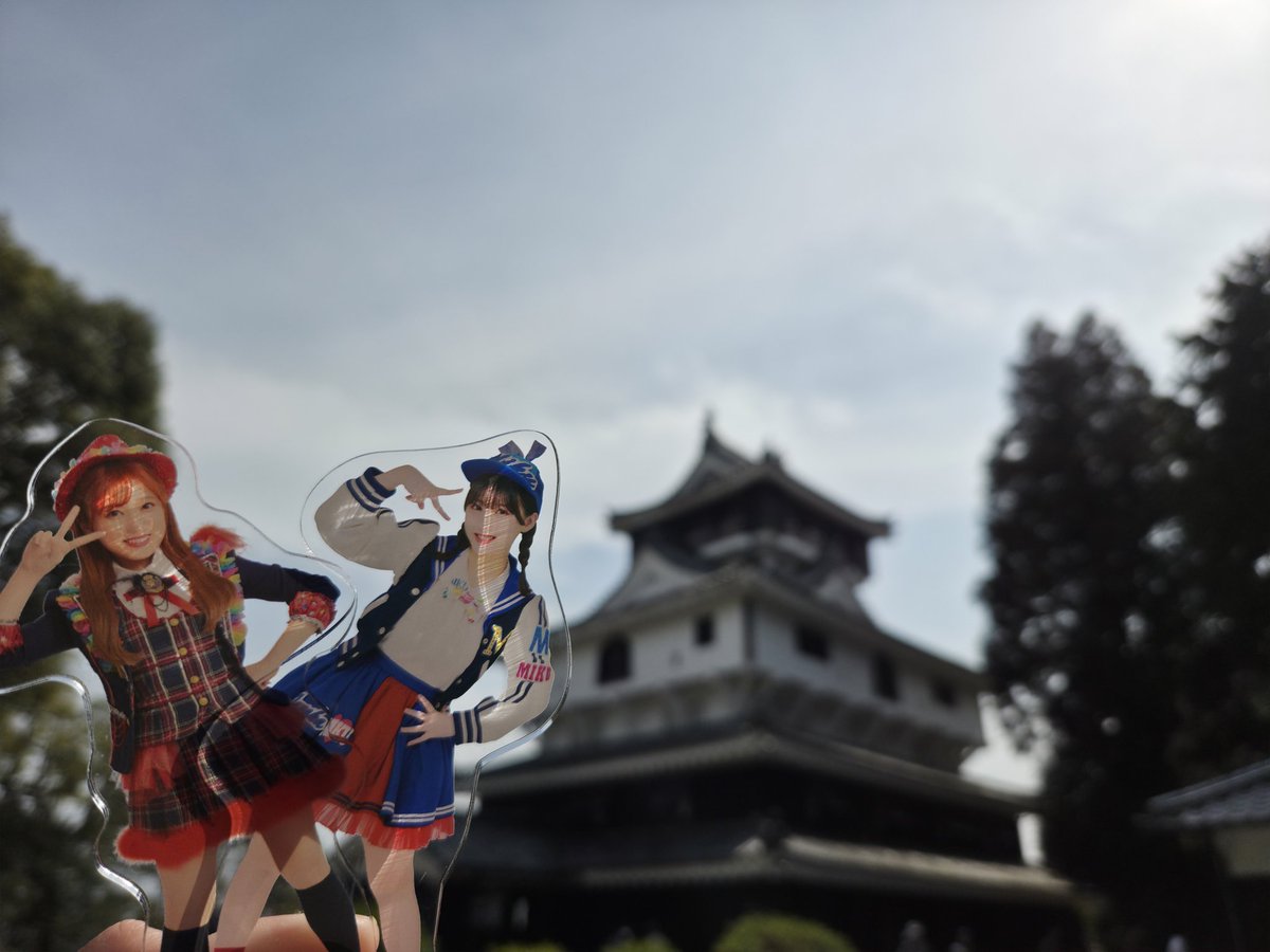 つば。 tweet media