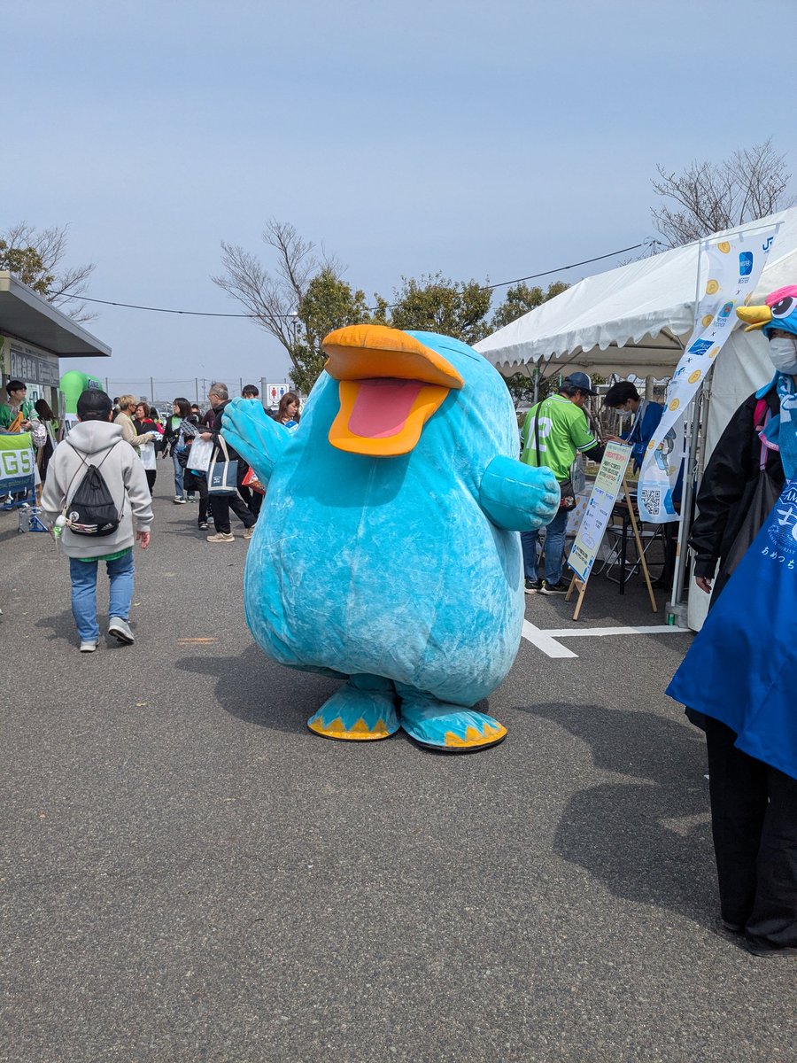 マツシマクニオ😇 tweet media