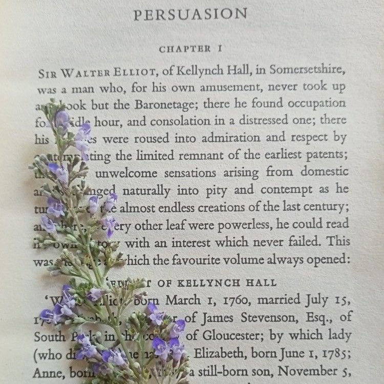 ellie 🌷 tweet media