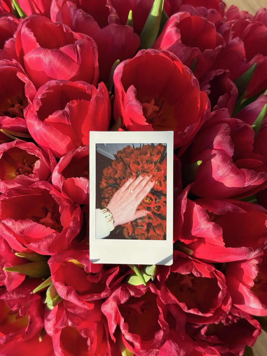 L.🇺🇦 tweet media