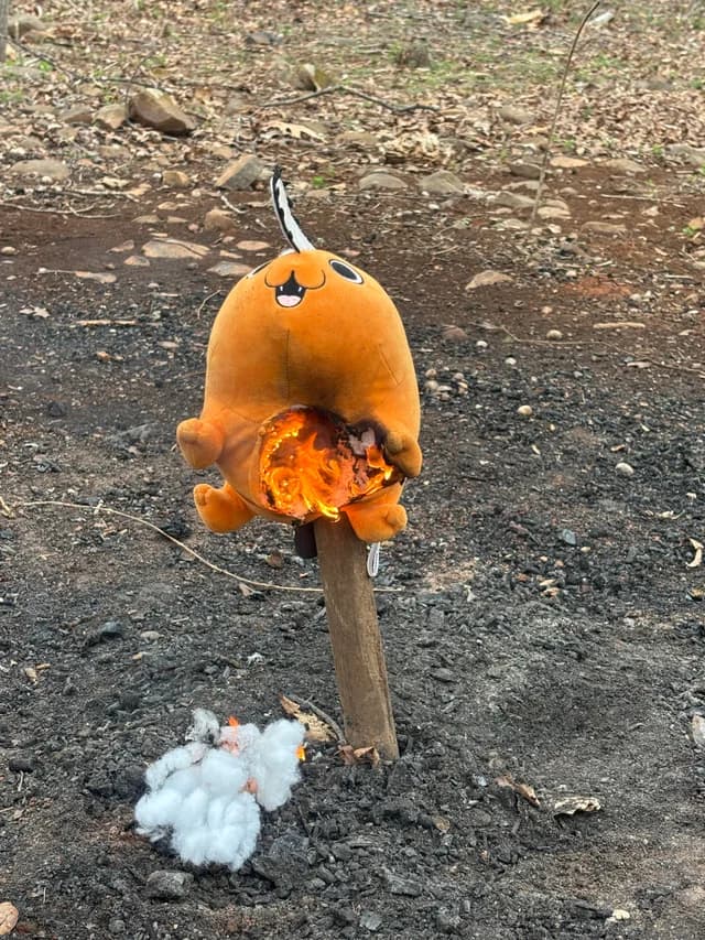 Você Sabia Anime / Hoss tweet media